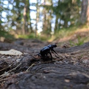 Meet your Posher, Emilia1